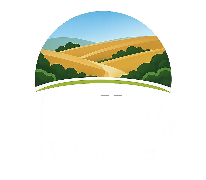 Hudley Holdings Logo